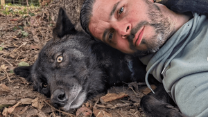 Chiens influenceurs : stars des réseaux ou otages du like ?