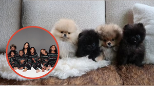 Kim Kardashian : ce cadeau sous le sapin qui rend furieux les défenseurs des animaux