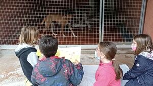 Dans ce refuge, des enfants lisent des histoires aux chiens… et les aident à s’apaiser