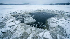 -10°C ressentis et un vent polaire : l'incroyable sauvetage de ce labrador, piégé par un étang gelé