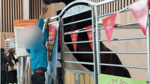 Cheval paniqué au Salon de l'agriculture 2026 : qu'en est-il du bien-être animal à l'exposition ?