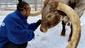 Lewis Hamilton et ses vaches Max et Ombre : l'amour des animaux n'a pas de frontières