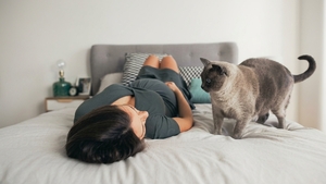 Grossesse et toxoplasmose : faut-il vraiment se méfier de son chat ?