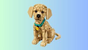 LEGO surfe sur l'aura de cette race de chien et dévoile un set à 140 euros, qu'est-ce qu'on en pense