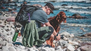7 accessoires indispensables pour randonner avec son chien