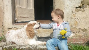 "Qui sauveriez-vous : un enfant ou votre chien ?" Ce que révèle ce débat sur le rapport aux animaux