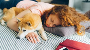 Stress des examens : et si dormir avec son animal aidait vraiment à l’apaiser ?
