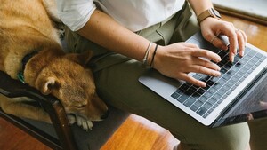 Impôts 2026 : faut-il taxer les animaux de compagnie en France ?
