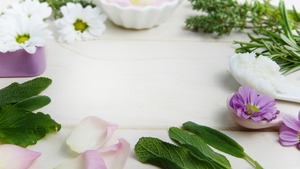 Comment protéger naturellement son chat et son chien des parasites ? 