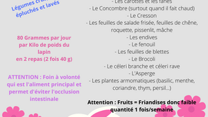 Les légumes qui sont bons pour votre lapin