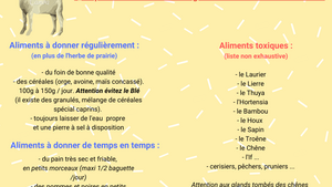 Les aliments pour les chèvres