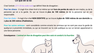 Qu’est-ce qu’un animal en état de divagation?