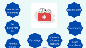 La trousse de premiers secours pour vos animaux