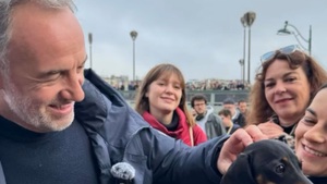 Municipales 2026 : Emmanuel Grégoire dévoile les grandes lignes de son programme pour les animaux