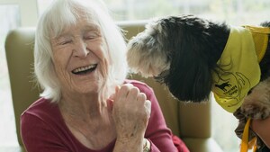 Stress au cabinet médical : comment des chiens spécialement formés peuvent apaiser les consultations