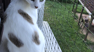 DIY : pose d’un filet de protection renforcé pour fenêtre