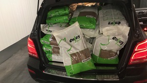 550 Kg DE CROQUETTES POUR CHATS REDISTRIBUEES 