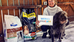 YouCare, le moteur de recherche solidaire qui aide les animaux de refuges !