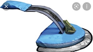 Piscine : Sauver les petits mammifères de la noyade !