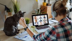 Rentrée : quelles précautions prendre avec son chat ?