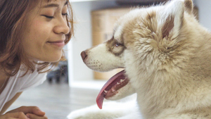 Quand et comment éduquer son chien ?