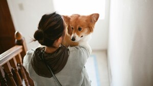 Bien-être animal : l'IA peut-elle vraiment nous aider à comprendre les besoins de nos chiens ?