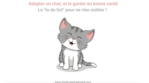 Adopter un chat, penser à tout avant son arrivée 