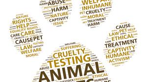 Quel est le contenu de la loi de 2021 contre la maltraitance animale ?