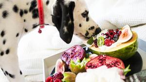 Ce nouveau restaurant à Lyon s'adresse à des clients bien particuliers