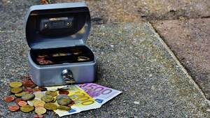 Pourquoi l’adoption en association est-elle payante ?