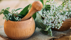 La Valériane : traitement naturel du stress et de l’anxiété de son animal