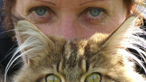 La communication animale : Interview de Laurence Helfer