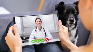 La téléconsultation vétérinaire, qu’est-ce que c’est ?