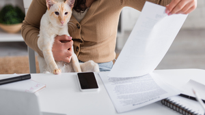 Assurance chat : comment bien choisir sa formule (et déchiffrer le contrat)