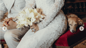 Leo Leclerc : un compagnon authentique ou un teckel superstar instrument de communication ?