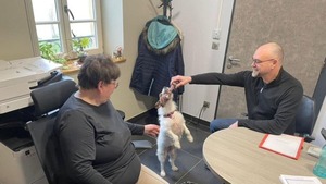 Venir avec son chien au travail : les agents de cette mairie peuvent le faire depuis septembre