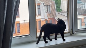 J’ai utilisé le DIY du Fonds Saint Bernard pour protéger Léon d’une chute par la fenêtre