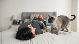 Toxoplasmose et chat : stop aux idées reçues