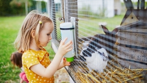 Mon Lapin nain peut-il vivre dehors ?