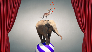 La loi sur la maltraitance animale définitivement adoptée par le Sénat