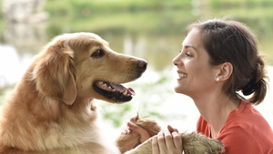 Comprendre l’éducation positive