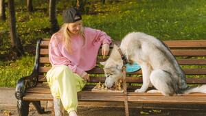 Ces villes où vivre avec un animal est (vraiment) plus facile