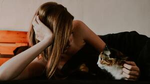 Mon chat fait de l’hyper attachement : Quelles conséquences pour son bien-être ?