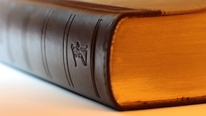 Comment dénoncer le non-respect de la réglementation en matière de vente ou de don d’un animal ?