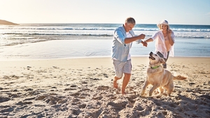 Les meilleurs sites internet pour trouver des vacances avec son animal