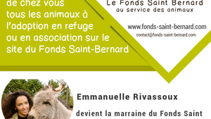 Bilan 2018 Du Fonds Saint Bernard