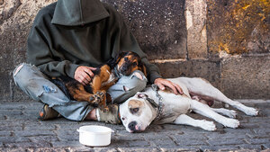 Comment aider les SDF et leurs animaux ?