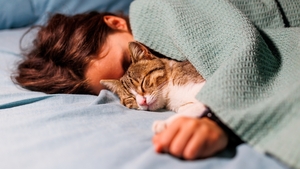 Mon chat fait-il de l’hyper attachement ?