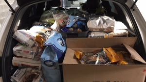 Collecte nourritures chiens / chats