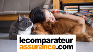 3 conseils pour économiser sur son assurance santé animale